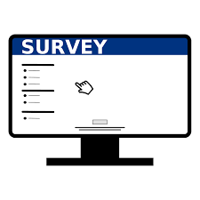 Participate in Online Surveys And Earn